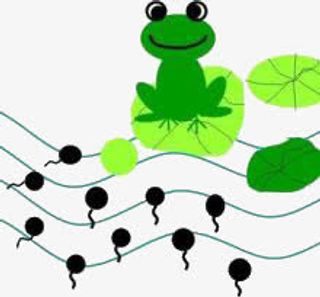 小蝌蚪找妈妈免抠