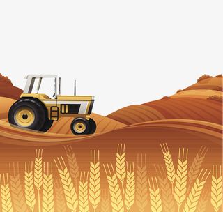 收割农地麦子插图免抠