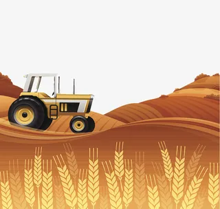 收割农地麦子插图免抠