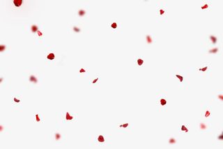 妖艳红色玫瑰花瓣免抠