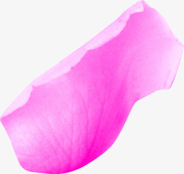 粉色花瓣高清摄影合成免抠