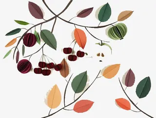 树枝上的黄叶免抠