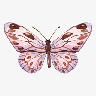 素雅手绘水彩蝴蝶矢量免抠
