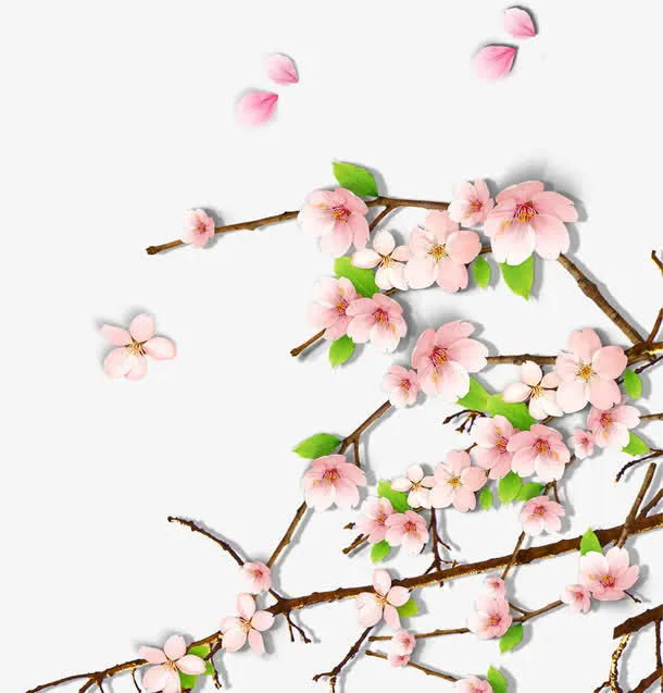 粉色艺术春天梅花花朵免抠
