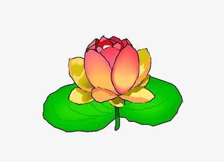 手绘莲花图片免抠