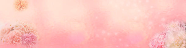 女装背景banner