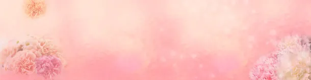 女装背景banner