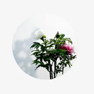 画好月圆效果免抠