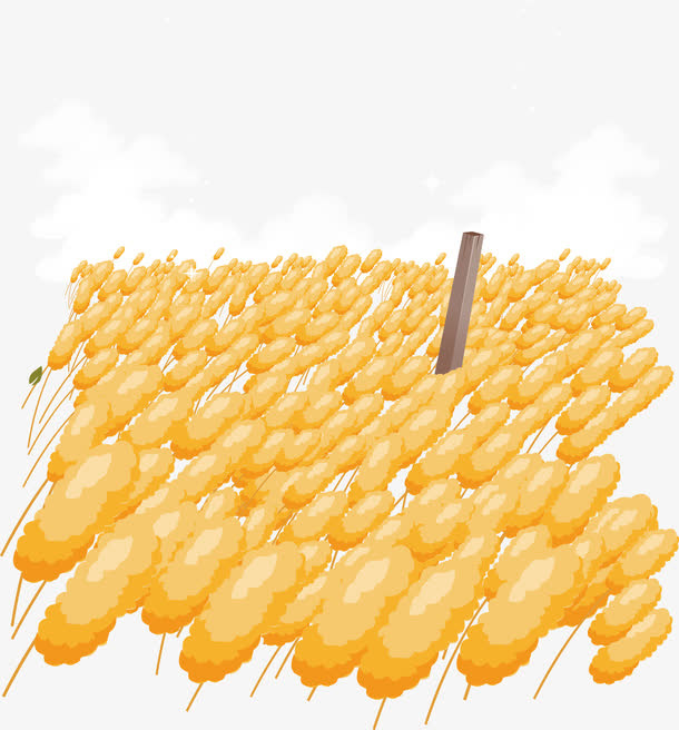 成熟的小麦矢量图免抠