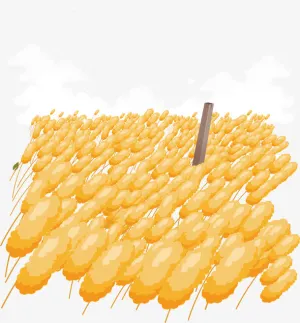 成熟的小麦矢量图免抠