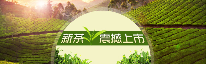新茶上市banner素材高清