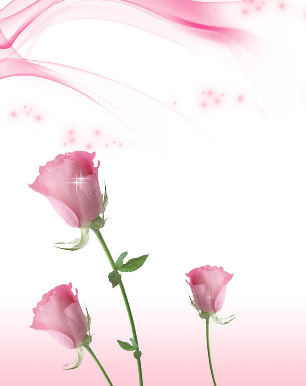 玫瑰花束免抠