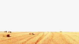 一望无际的田野免抠