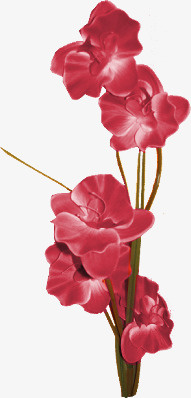 红色花朵免抠
