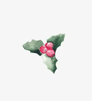 圣诞节手绘花纹素材免抠