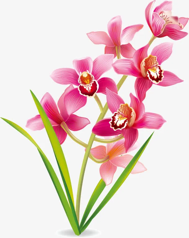 花，花朵，淘宝素材，花絮，矢量免抠漂浮花瓣元素