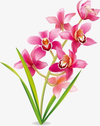 花，花朵，淘宝素材，花絮，矢量免抠漂浮花瓣元素