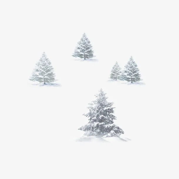 冬天松树免抠
