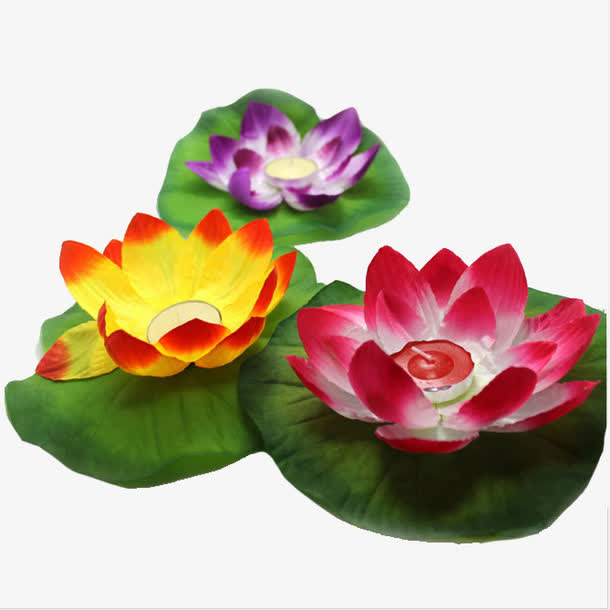 荷叶上的荷花灯免抠