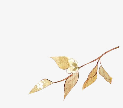 树枝树叶中国风素材漂浮古风素材免抠