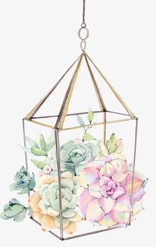 手绘多肉植物吊篮免抠