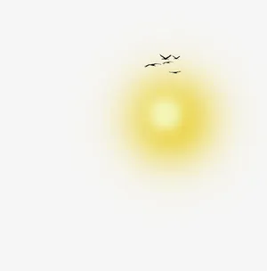 太阳光影免抠