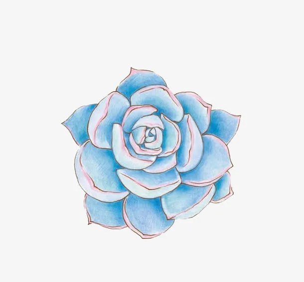 蓝色宝石花免抠
