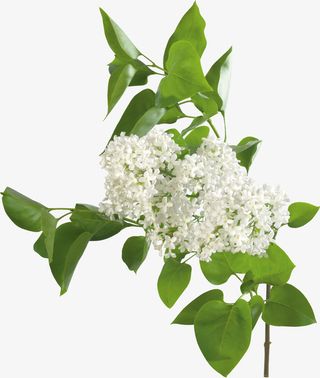 古风图片素材配饰免抠