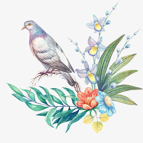 手绘水彩花鸟花草免抠