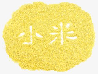 农作物小米免抠