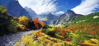 淘宝背景图高清