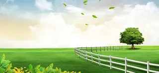 绿色田园背景高清