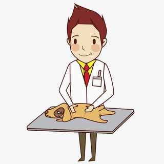 一名动物医生免抠