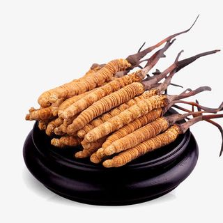 中药野生冬虫夏草免抠