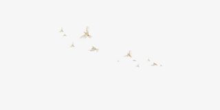 大雁素材装饰免抠