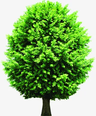 清新春天大树植物装饰免抠