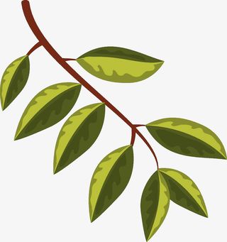 矢量装饰插图树枝叶免抠