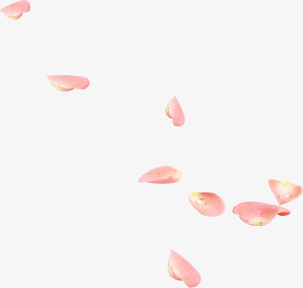 粉色唯美漂浮花瓣意境免抠