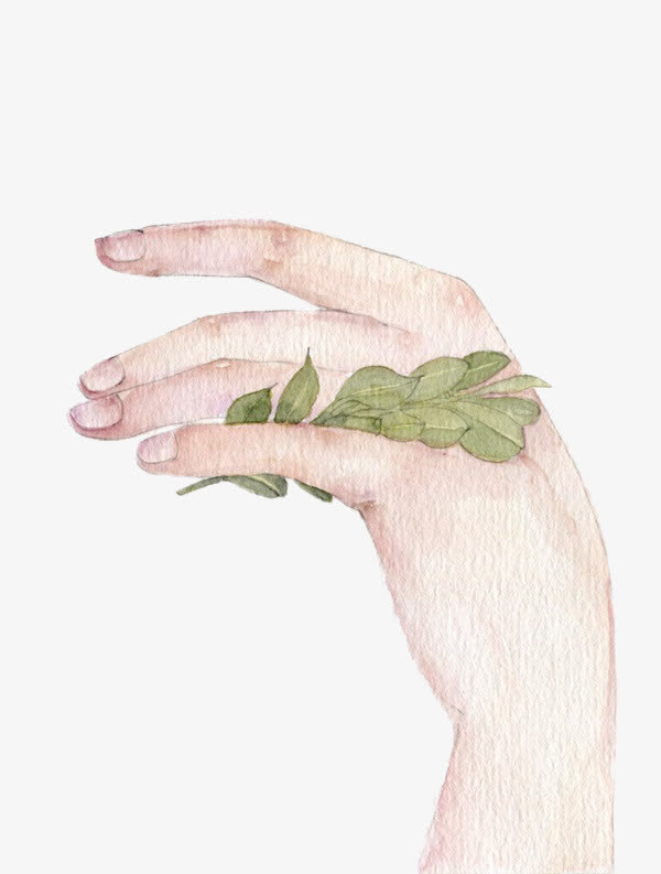 插画纤细的手免抠