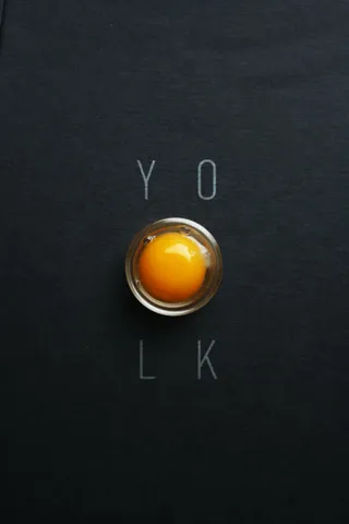 纯色背景鸡蛋字体效果矢量素材