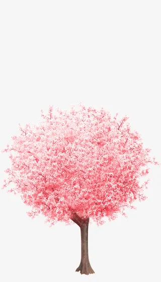 樱花树 樱花树免抠
