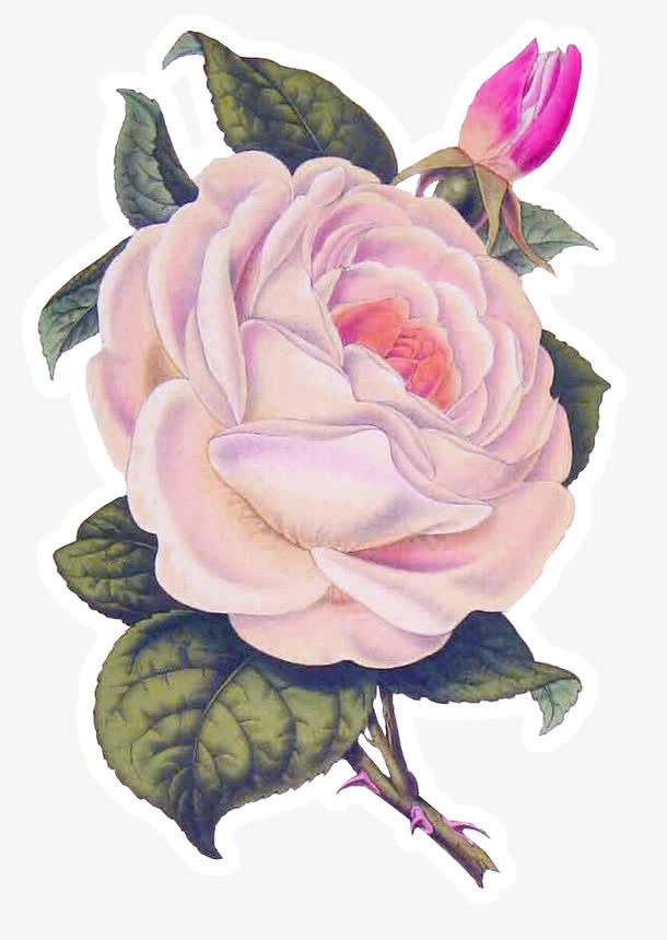 漂浮花朵免抠