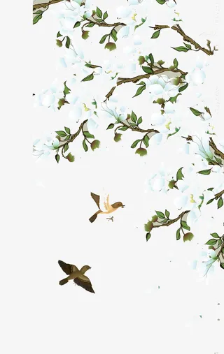 中国风绽放的玉兰花免抠