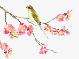 二十四番花信风-小寒-一侯梅花免抠装饰植物元素