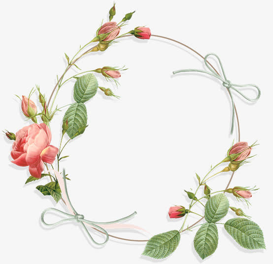 春天粉色玫瑰花环免抠