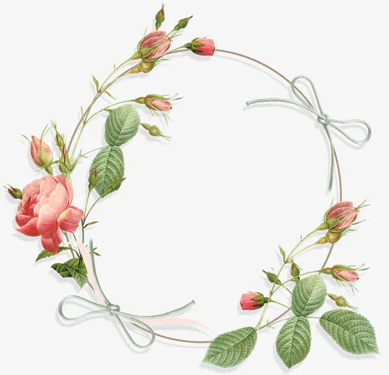 春天粉色玫瑰花环免抠