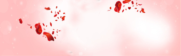 女鞋花瓣唯美背景banner高清