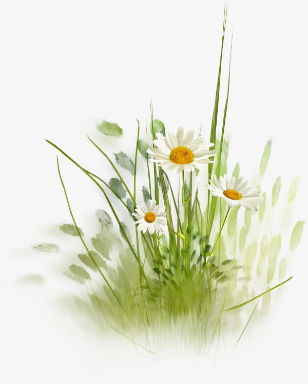 路边的小花 绿草免抠