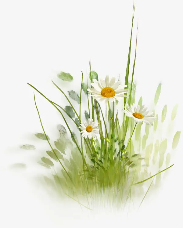 路边的小花 绿草免抠