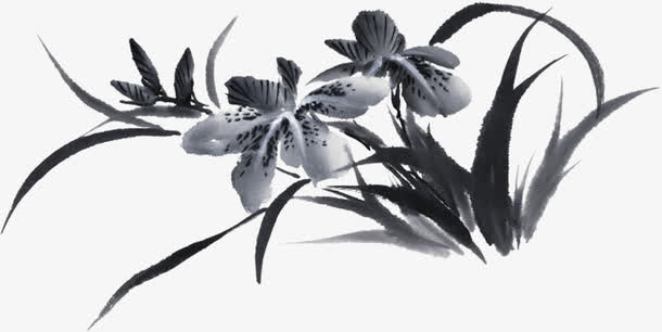 兰花免抠